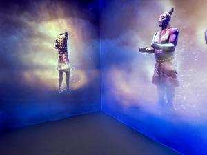 Bowers Museum   Immersive Room
